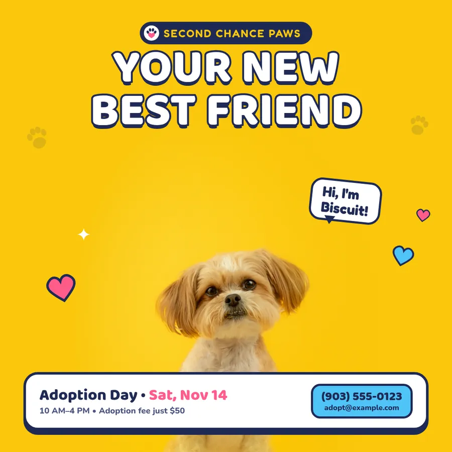 Second Chance Paws Ad: Instagram / Facebook ad · 1080×1080