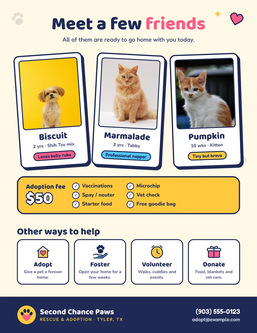 Second Chance Paws Flyer: Back