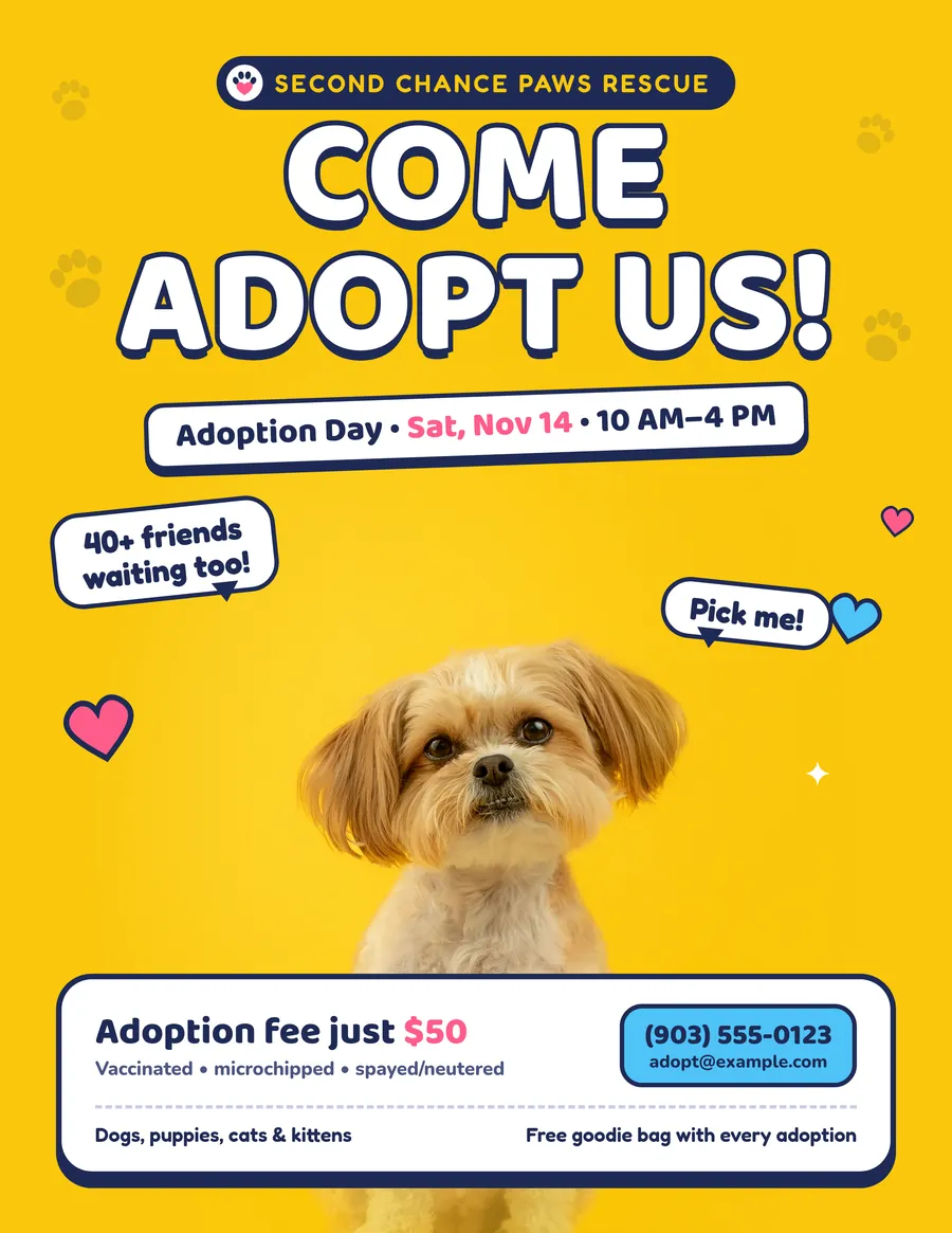 Second Chance Paws Flyer: Front